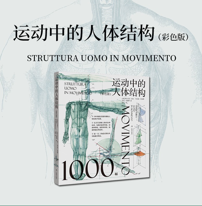运动中的人体结构彩色版 威尼斯美术学院 人体躯干骨骼结构绘画教学