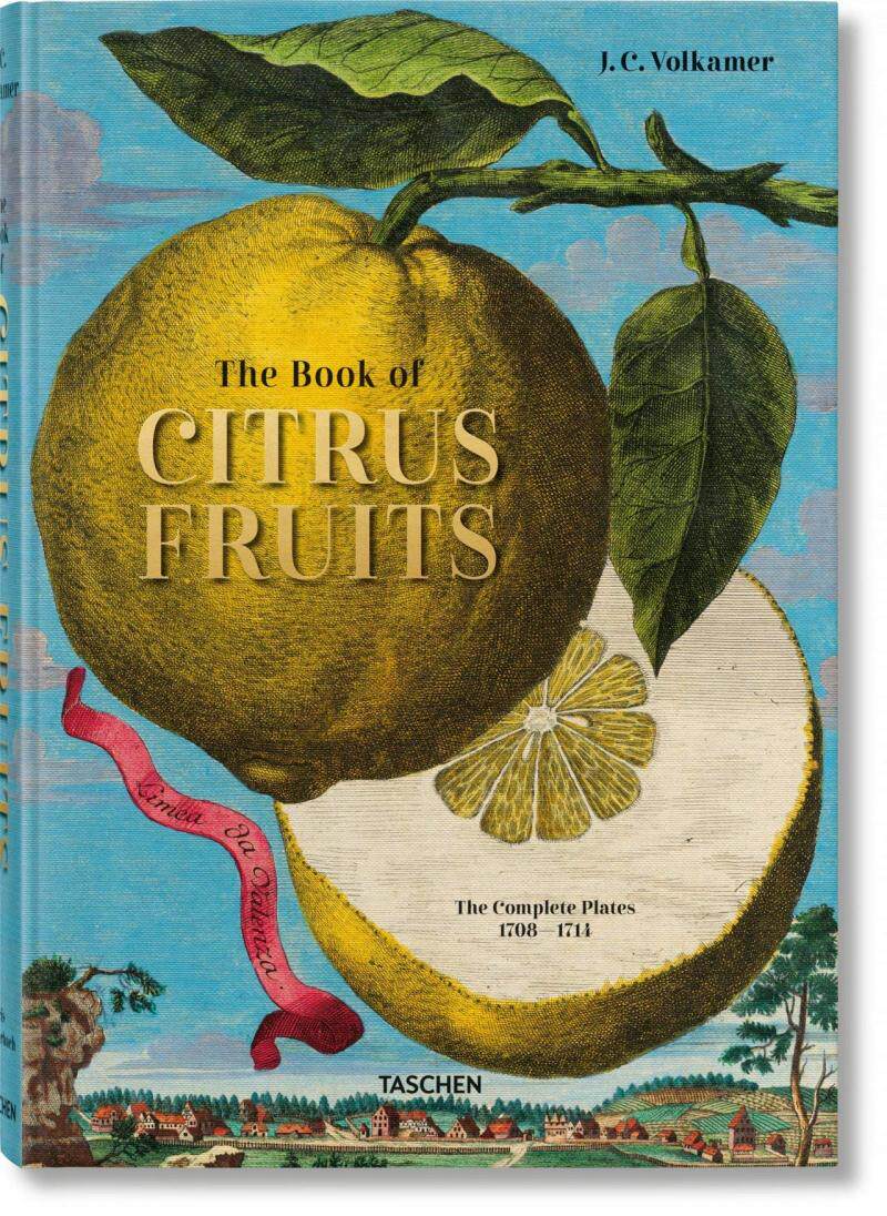 现货包邮 TASCHEN原版 The Book of Citrus Fruits 柑橘画册 超现实场景 水果商人J.C.Volkamer 艺术画集画册 精装大开本