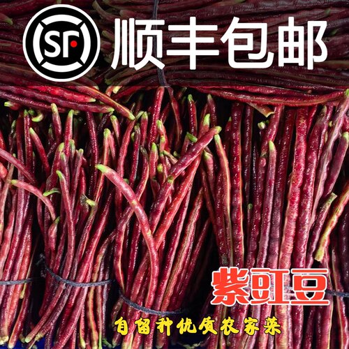 顺丰包邮农家自种植紫色豇豆当季露天新鲜蔬菜红豆角 现摘现发