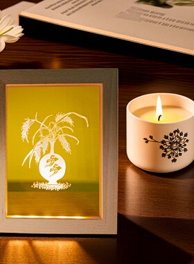 国画小灯USB LED精雕岁岁平安夜灯展灯天保九如日月同辉