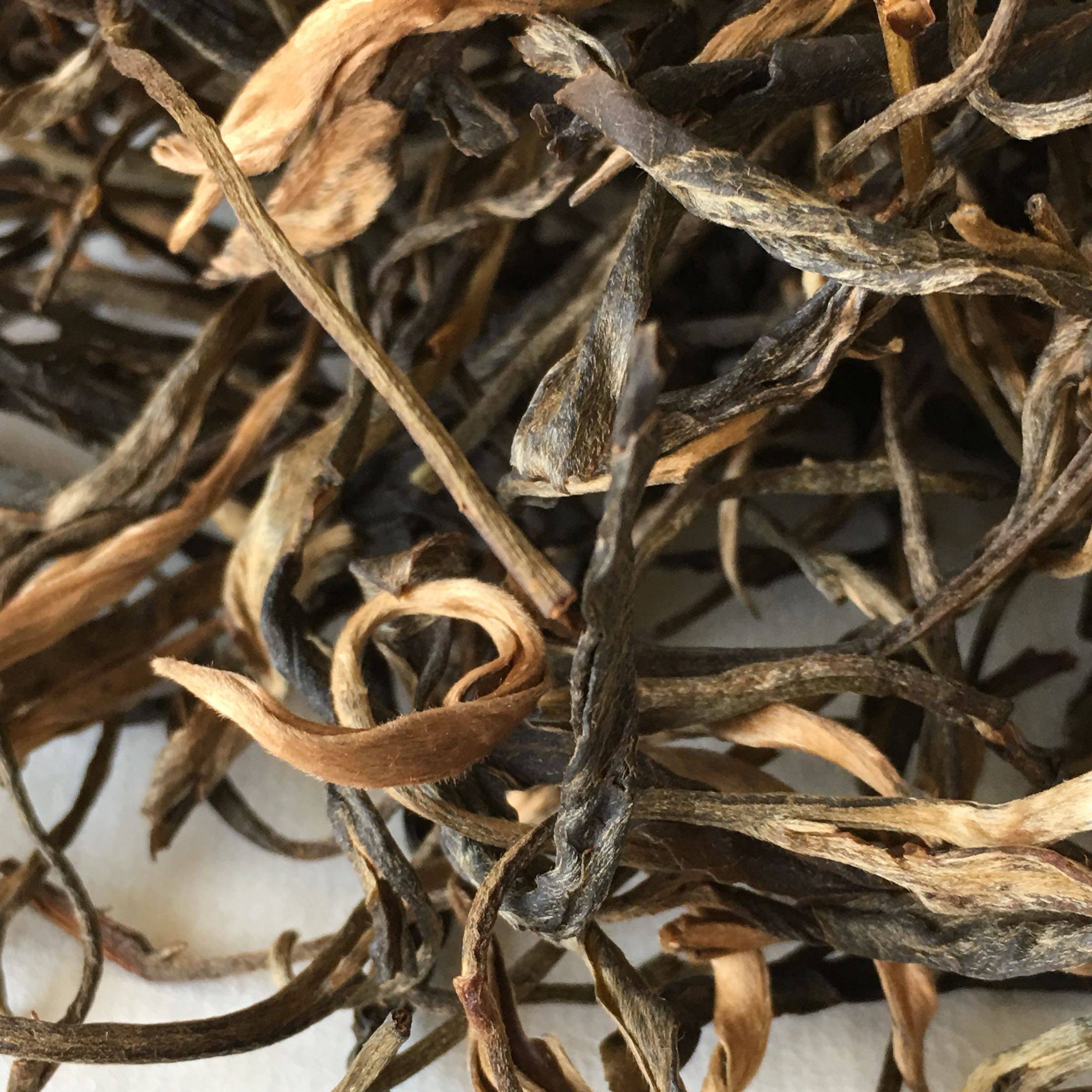 云南2013易武麻黑古树纯料 300年单株普洱 50g散茶 香高气扬水柔