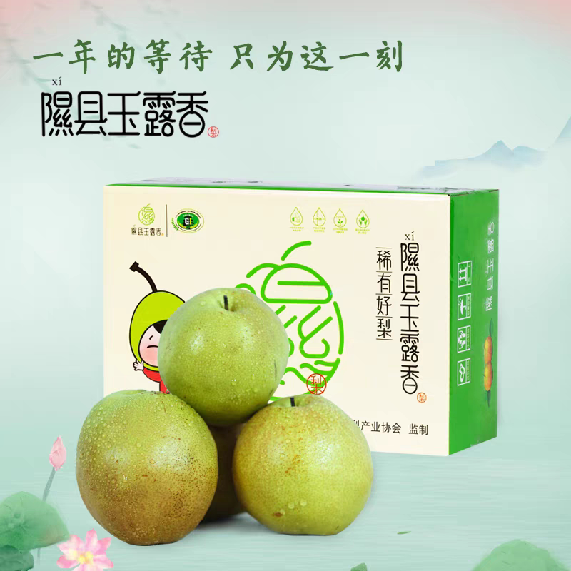 山西玉露香梨正宗隰县梨子应季新梨