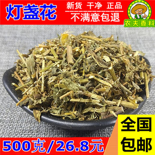 包邮 新鲜 灯盏花 500g 天然纯新货云南灯盏细辛灯盏花灯盏草中药材