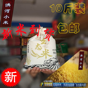 2025年河南太行山红旗渠林州特产洪河小米黄小米