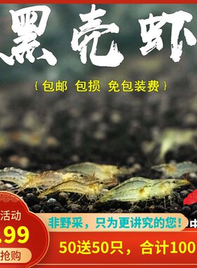 黑壳虾水草除藻虾观赏虾清洁虾活体虾宠物虾秀丽白虾包邮无包装费