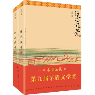 这边风景 王蒙第九届茅盾文学奖,中宣部“五个一工程”奖,央视中国好书奖获奖作品畅销小说王蒙窖藏四十年之作花城出版社正版图书