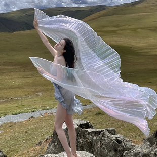 抖音同款肚皮舞金翅透明幻彩蝴蝶人鱼翅膀舞蹈写真拍摄演出道具