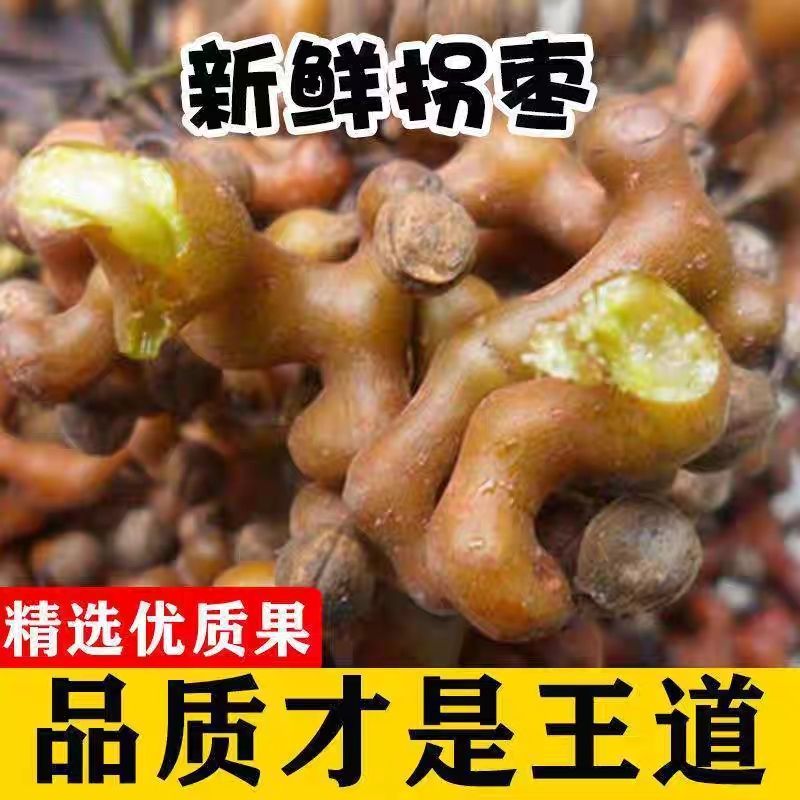 大山造物泡酒拐枣旬阳新鲜拐枣果