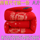 冬被加厚保暖水洗棉被子芯2.0/1.8X2.2X2.4米床羽丝10/12/14/16斤