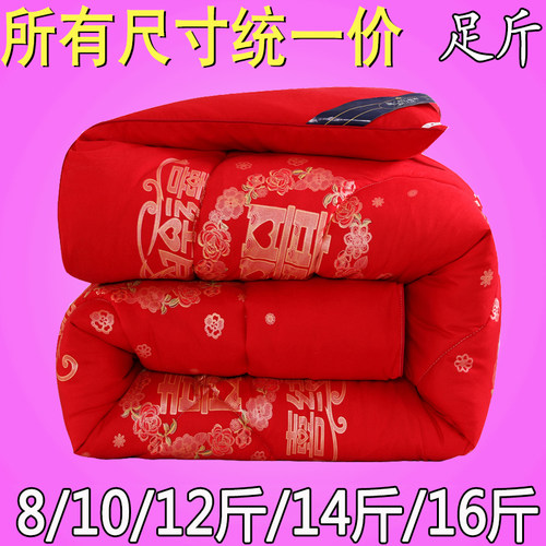 加厚保暖洛卡棉暖冬被单双人被子