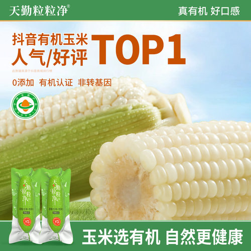 天勤粒粒净新品糯玉米
