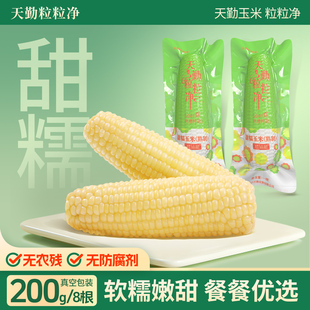 玉米糯玉米有机玉米 10条装 天勤粒粒净25年新采玉米香糯白玉米6