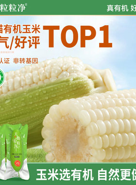 天勤粒粒净新品糯玉米