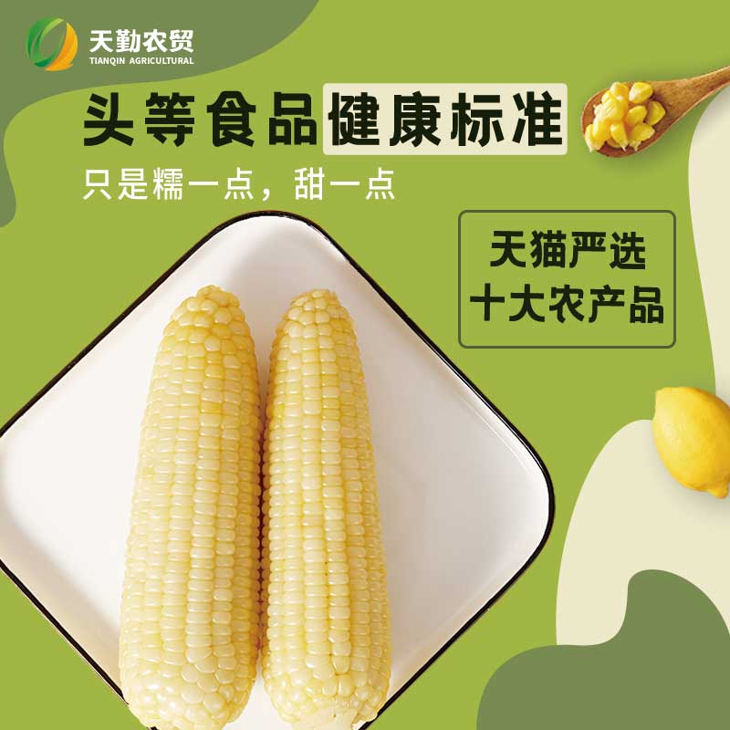 25年新采玉米天勤粒粒净