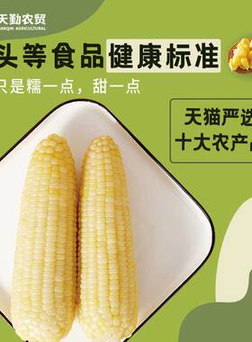 【直播秒杀】天勤粒粒净25年新采有机甜糯8条真空新鲜糯玉米