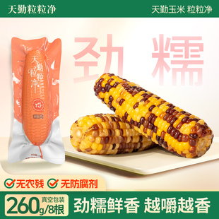 天勤粒粒净25年新采有机彩甜糯玉米真空包装 粘糯早餐代餐即热即食