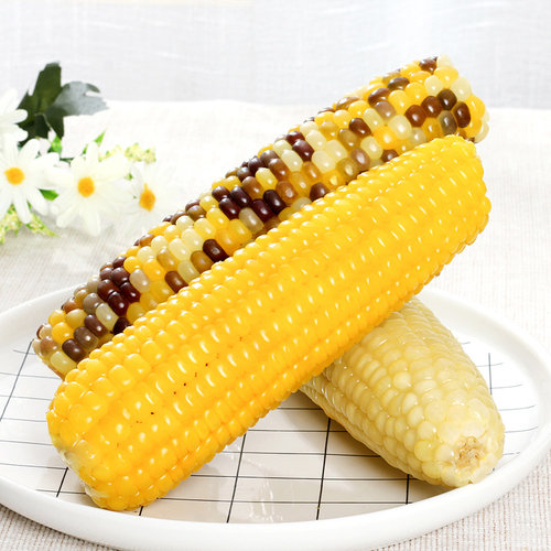 天勤粒粒净真空有机2025年新采