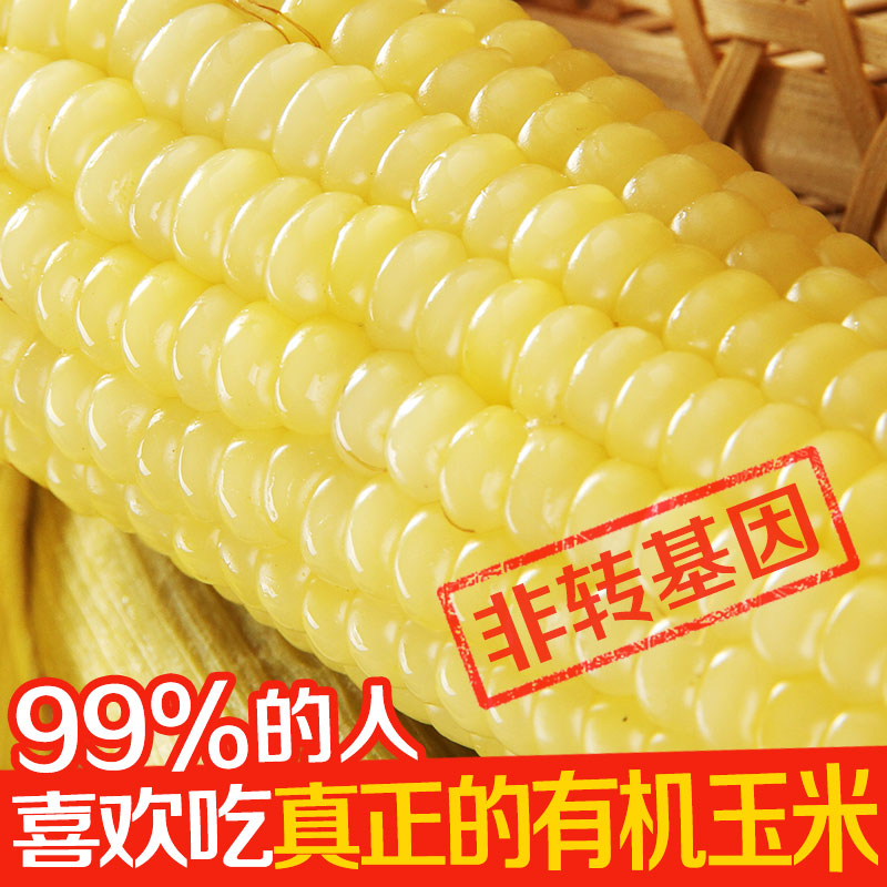 【北纬41度】原产地爆款网红鲜食真空软白糯香玉米早餐代餐1600g|ruв категории зерно риса/север и Юг сухих грузов/приправы, метров/муки/зерновые, кукуруза - от Buy2taobao.com для оказания профессиональной услуги покупки агента Taobao