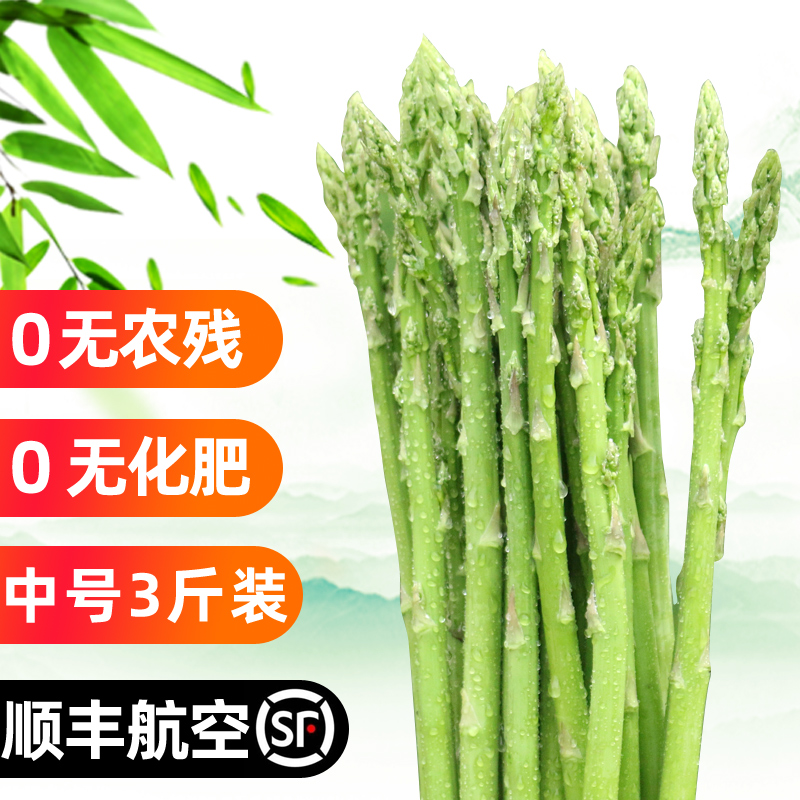 售賣新鮮農家高山蘆筍中號3斤産地直銷蔬菜青筍綠筍順豐包郵在類目 水產肉類/新鮮蔬果/熟食, 新鮮蔬菜/蔬菜製品, 新鮮蔬菜, 蘆筍中 - 來自Buy2taobao.com提供專業的淘寶代購服務