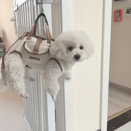 宠物狗狗小型犬便携可斜跨宠物外带包卡通背带包猫咪多功能宠物包