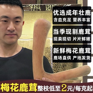 梅花鹿鲜鹿茸新鲜带血鲜鹿茸片整根连刀切片100g男性泡酒鹿场批发