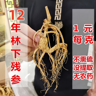 长白山12年林下参残参泡酒煲汤东北林下参非白参园参干人参超实惠