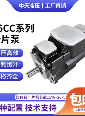 丹尼逊DENISON叶片泵T6CC-006-005-1R00-C100双联液压泵T6DC/T6ED