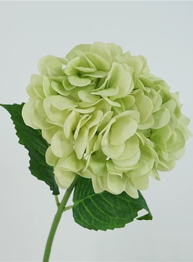仿真花绿色绣球一支装