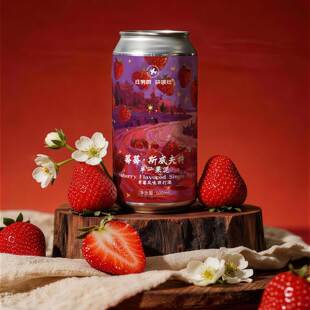 【洪雨精酿】红男爵国产紫夜派对莓莓斯威夫特果泥大罐精酿啤酒