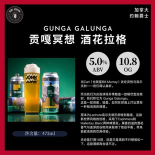 【洪雨精酿】约翰爵士 贡嘎冥想/迷失/相连/放空一切/沉沦 啤酒