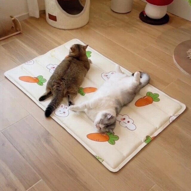 宠物冰垫夏季猫窝垫子猫咪睡垫狗狗凉垫凉席睡觉垫子狗窝降温神器