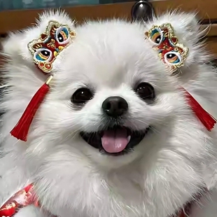狗狗新年发夹约克夏边牧博美头饰夹子发卡宠物西高地过年喜庆配饰