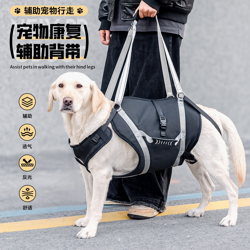 中大型犬康复训练上下楼背带