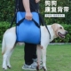 宠物胸背带狗狗辅助带可提可肩残疾受伤老龄犬上下楼行走康复背带