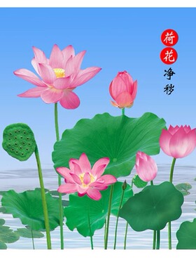 正方形荷花图贴卫生间荷花净秽厕所鲤鱼莲花图墙贴画九鱼荷花厨房