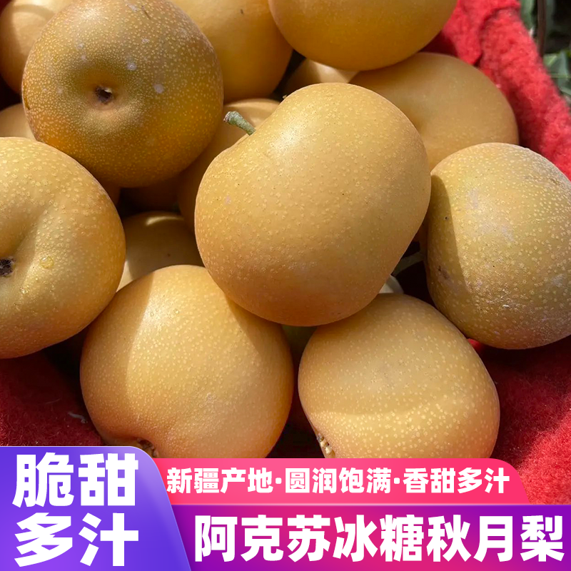 新疆阿克苏冰糖秋月梨新鲜水果黄皮梨子脆甜多汁皮薄肉厚大果礼盒