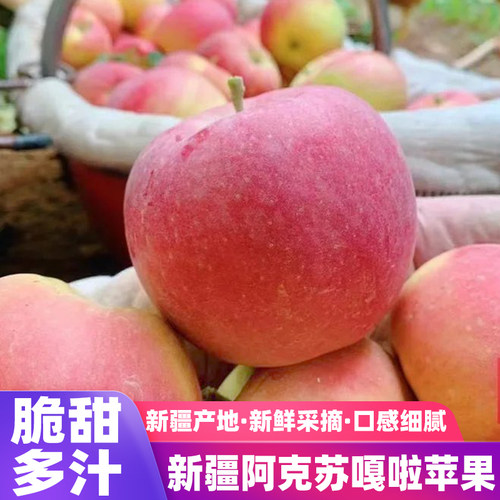 新疆阿克苏苹果正宗嘎啦小苹果