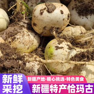 新疆恰玛古柯坪县新鲜蔬菜现挖芜菁碱性食物农家自种露天种植蔓菁
