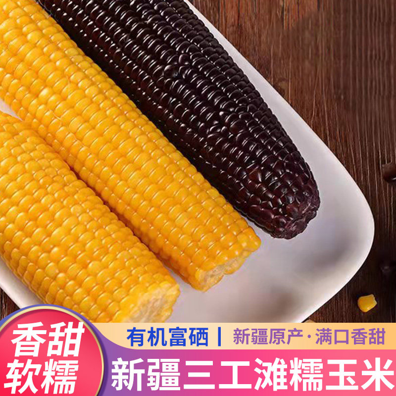 新疆有机富硒玉米现摘新鲜黑糯玉米甜糯软香三工滩甜玉米非转基因
