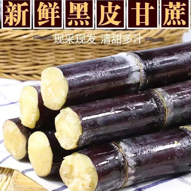 广西黑皮甘蔗现砍现发新鲜脆甜爽口汁水多原产地直发