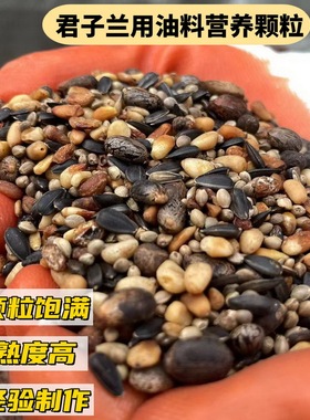 君子兰专用腰部底部营养颗粒基质松仁蓖麻油葵麻子促开花油料作物