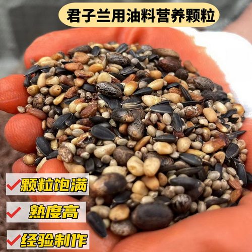 君子兰专用腰部底部营养颗粒基质松仁蓖麻油葵麻子促开花油料作物