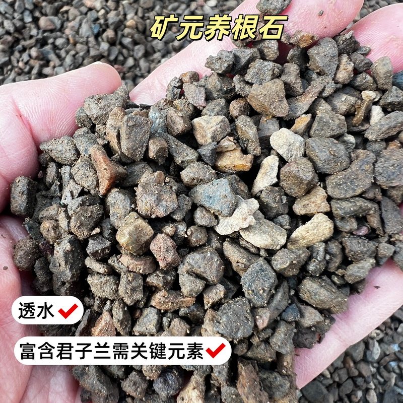 振勇君子兰矿元养根原石花卉通用垫盆透水透气石子颗粒铺面园艺用