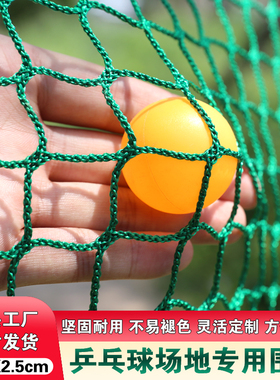 乒乓球围网绿色无结网场地围挡网隔离网防护网拦网球网训练网室外