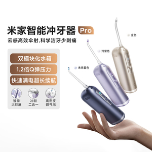 小米智能冲牙器Pro牙齿清洁送礼