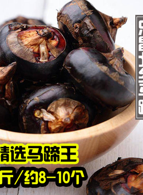 韶关乐昌北乡马蹄王精选一级果特大新鲜水果荸荠果农家现挖现发甜