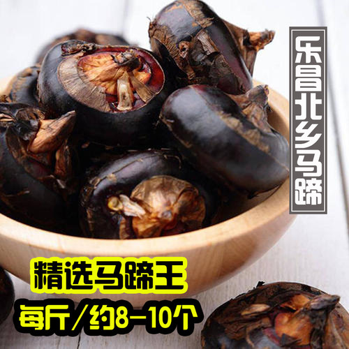 韶关乐昌北乡马蹄王精选一级果特大新鲜水果荸荠果农家现挖现发甜