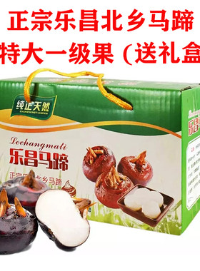 新鲜马蹄乐昌特产脆甜无渣
