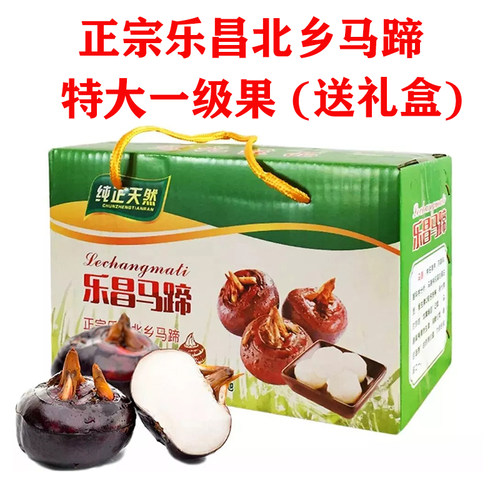 新鲜马蹄乐昌特产脆甜无渣
