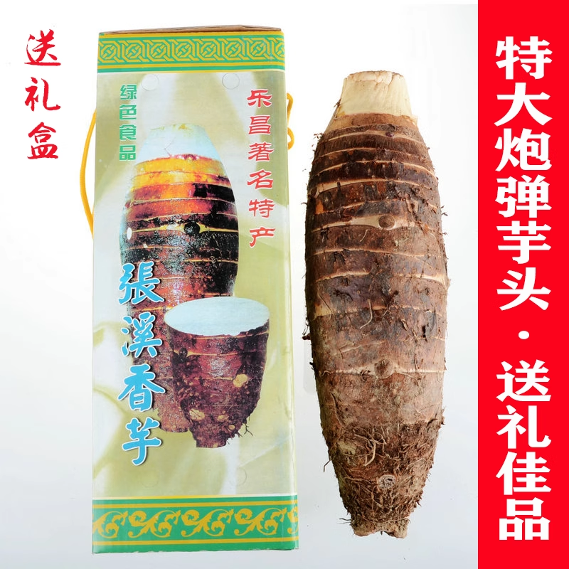 韶关乐昌张溪炮弹芋头特大蔬菜